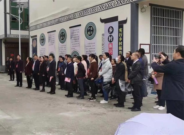 广西两高沿线乡村风貌工程巴马县城改造项目选用金洋水性平涂