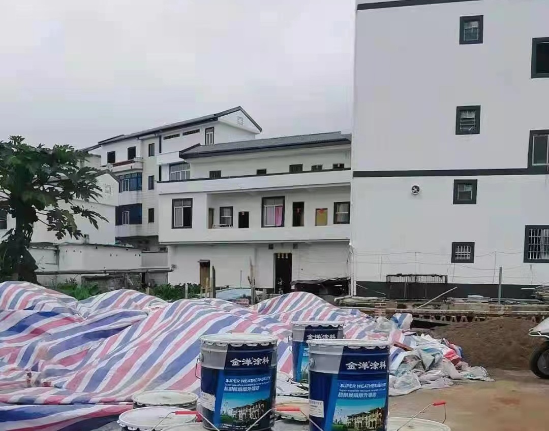 广西两高沿线乡村风貌改建工程平南县项目选用金洋水性平涂