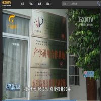 维一强创新-广西电视台报道