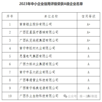 恭喜我司在南宁市2023年中小企业信用评级荣获A级