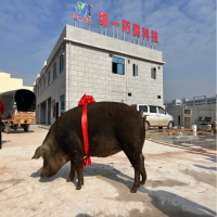 南宁维一新厂开业入伙仪式